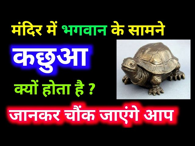 हर मंदिर के सामने कछुआ क्यों होता है?  
